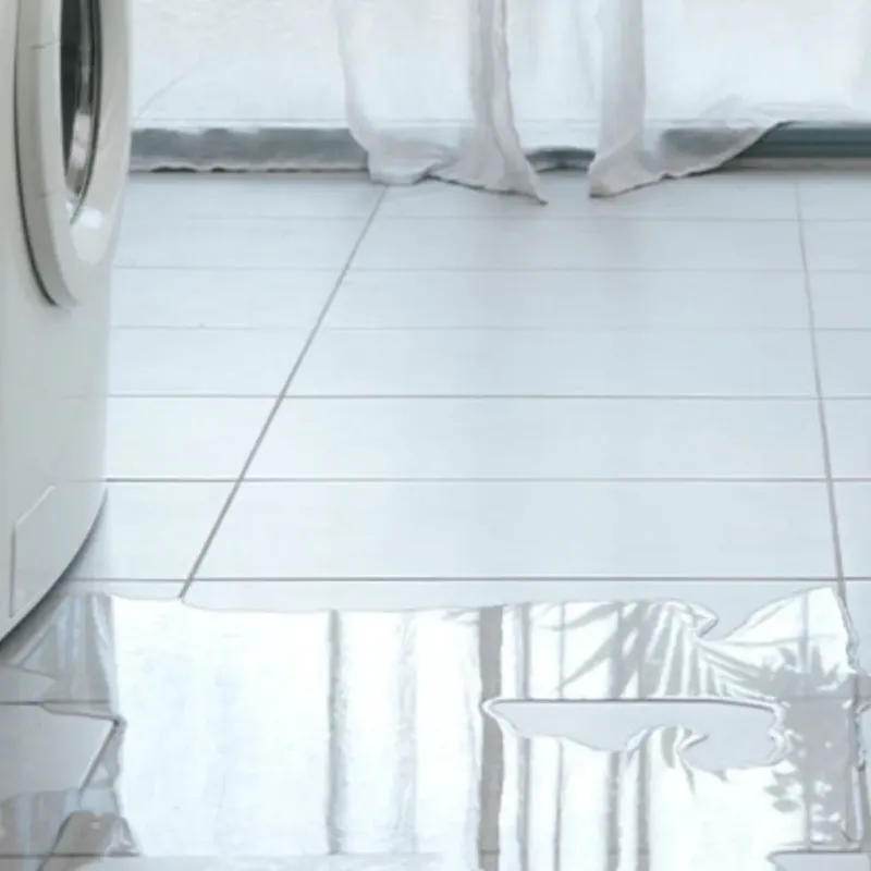 Appliance Leak Cleanup in Huntsville, TN