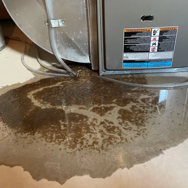 Pipe Burst and Leak Restoration in Huntsville, TN