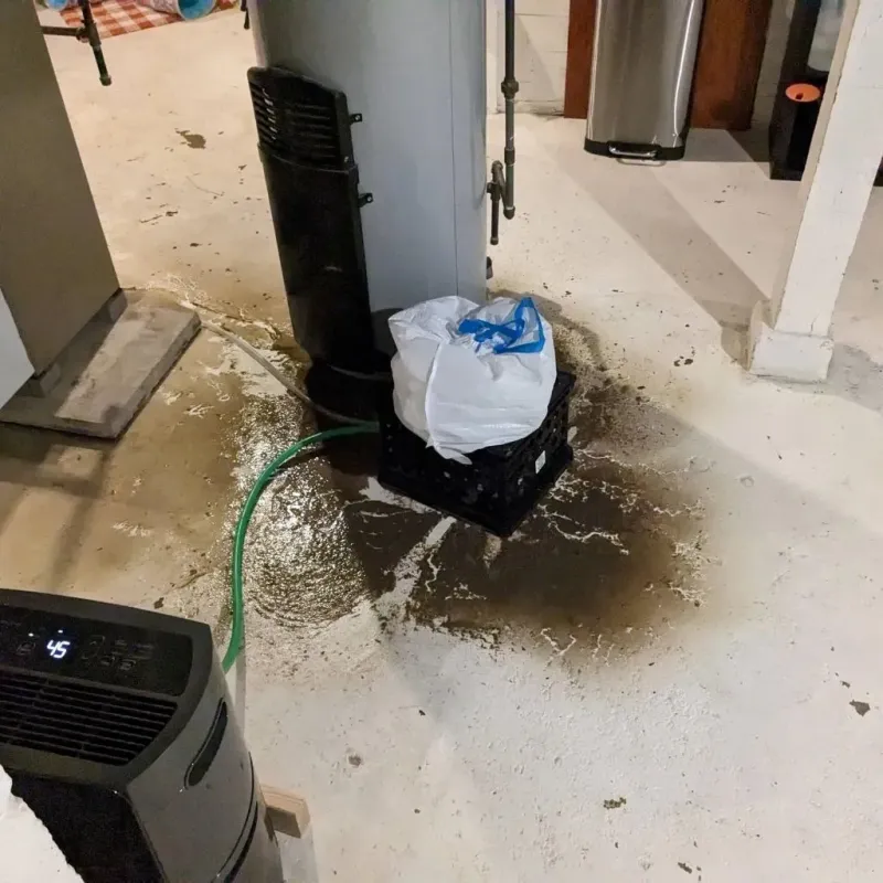 Sewage Backup Cleanup Service in Huntsville, TN